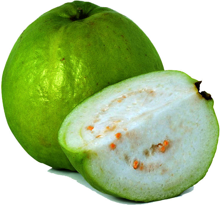 Guava Apexexim